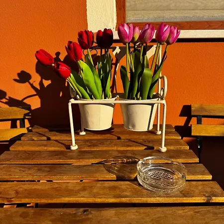 Casa Azzurra San Sperate